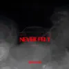 Never Felt - Single album lyrics, reviews, download