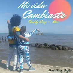 Mi vida cambiaste (feat. Mei) Song Lyrics