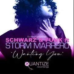 Wanting You (feat. Storm Marrero) - Single by Schwarz & Funk album reviews, ratings, credits