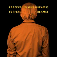 Perfect (In Our Dreams) - Single by Rick Treffers album reviews, ratings, credits
