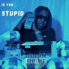 Is You Stupid Song Lyrics