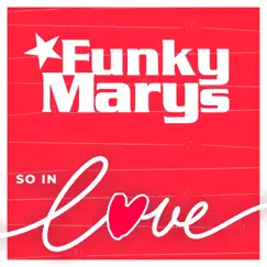 So in Love - Single by Funky Marys album reviews, ratings, credits