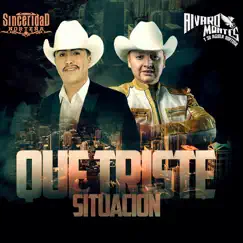 Que Triste Situación - Single by Sinceridad Nortena & Alvaro Montes y Su Aguila Norteña album reviews, ratings, credits