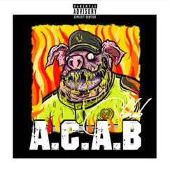 A.C.A.B - Single by Chihab album reviews, ratings, credits