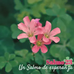 Salmo 23 (Virtual Choir) Song Lyrics