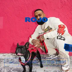 Rojo - Single by Nebula on the beat album reviews, ratings, credits