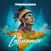 Latinamor (feat. Luiz Maia, Soios & Fidel Piñero) - Single album lyrics, reviews, download