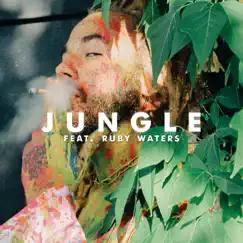 JUNGLE (feat. Ruby Waters) - Single by DillanPonders album reviews, ratings, credits