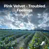 Troubled Feelings - Single album lyrics, reviews, download