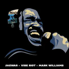 Peace of Mind (feat. Mark Williams) [remix] - Single by Jaewar & Vibe Riot album reviews, ratings, credits