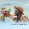 Ndoa Ni Mwalimu - Single album lyrics, reviews, download