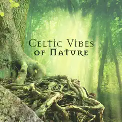 Celtic Vibes of Nature: Mystical & Magic Playlist Music 2022 by Harmony Green album reviews, ratings, credits