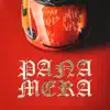 PANAMERA (feat. Djay W) - Single album lyrics, reviews, download