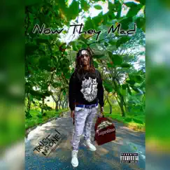Now They Mad - Single by Atm Twinn album reviews, ratings, credits