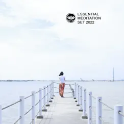 Essential Meditation Set 2022 by Healing Meditation Zone album reviews, ratings, credits