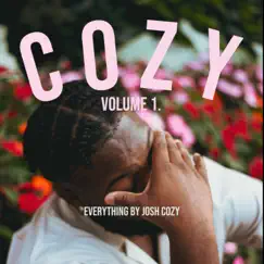 Cozy, Vol 1. by Josh Cozy album reviews, ratings, credits