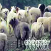 Shear Everything Off album lyrics, reviews, download