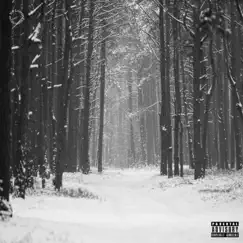 Winternikes (Radio Edit) [Radio Edit] - Single by D Munny album reviews, ratings, credits
