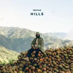 HILLS - Single by Protoje album reviews, ratings, credits