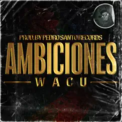 Ambiciones (feat. W.A.C.U) - Single by Pedro Santo Records album reviews, ratings, credits