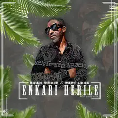 Enkari Herile (feat. Diord Naeb) Song Lyrics