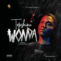 Wonda - Single by Topshine album reviews, ratings, credits