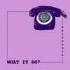 What It Do? album lyrics, reviews, download