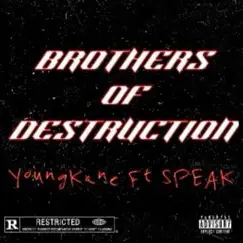 Brothers of Destruction - Single (feat. SPEAK) - Single by YoungKane album reviews, ratings, credits