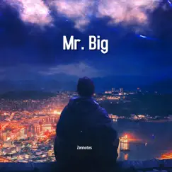 Mr. Big Song Lyrics