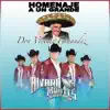 Homenaje a Vicente Fernandez album lyrics, reviews, download