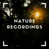Sweet Nature Walks - EP album lyrics, reviews, download