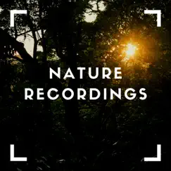 Sweet Nature Walks - EP by Natural Sample Makers, Natural Sound Makers & Nature Recordings album reviews, ratings, credits