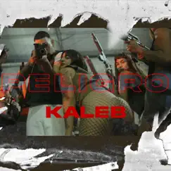 Peligro (feat. DJ Tao) - Single by Kaleb Di Masi album reviews, ratings, credits