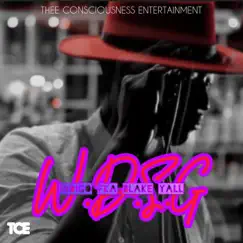 W.D.S.G - Single by Blake Yall album reviews, ratings, credits