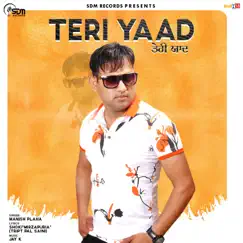 Teri Yaad Song Lyrics