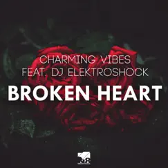Broken Heart (Extended Mix) Song Lyrics