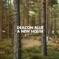 A New House by Deacon Blue album reviews, ratings, credits