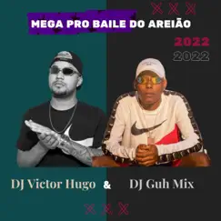 Mega pro Baile do Arieão (feat. Mc Rd) - Single by DJ Victor Hugo & MC TH album reviews, ratings, credits