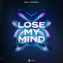 Lose My Mind (Extended Mix) Song Lyrics