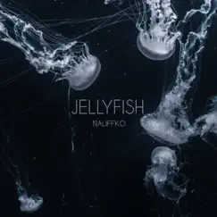 Jellyfish Song Lyrics