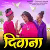 Diwana (feat. Raju Dancer, Nittu Dancer, Radhika Khanna, Aayu) - Single album lyrics, reviews, download