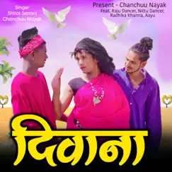 Diwana (feat. Raju Dancer, Nittu Dancer, Radhika Khanna, Aayu) Song Lyrics