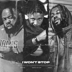 I Won't Stop (feat. Monteasy & Swerve) - Single by Wrestle and Flow album reviews, ratings, credits