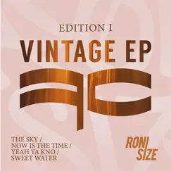 Edition 1 (Vintage) - EP by Roni Size album reviews, ratings, credits
