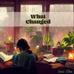 What Changed - Single by Amar Sihra album reviews, ratings, credits