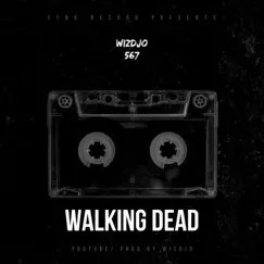 Walking Dead (Instrumental) Song Lyrics