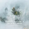 Forest Nature & Rain Sounds album lyrics, reviews, download