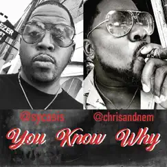 You Know Why (feat. Burras) - Single by Sycosis album reviews, ratings, credits