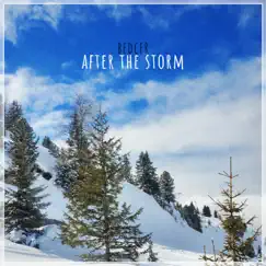 After the Storm - Single by Bedcer album reviews, ratings, credits