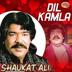 Dil Kamla - Single by Shaukat Ali album reviews, ratings, credits